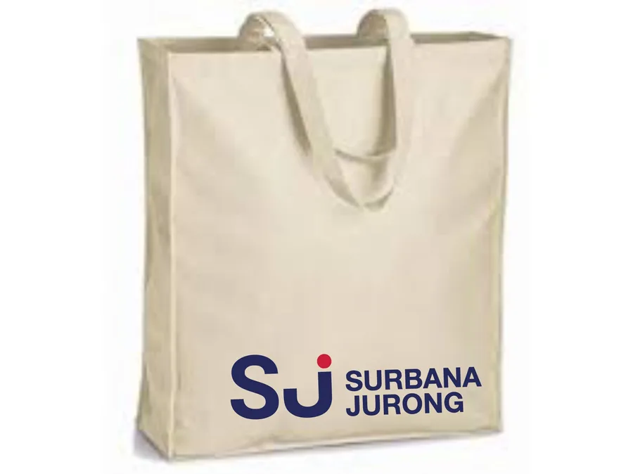 Natural cotton bag, box shape (CTN-20)