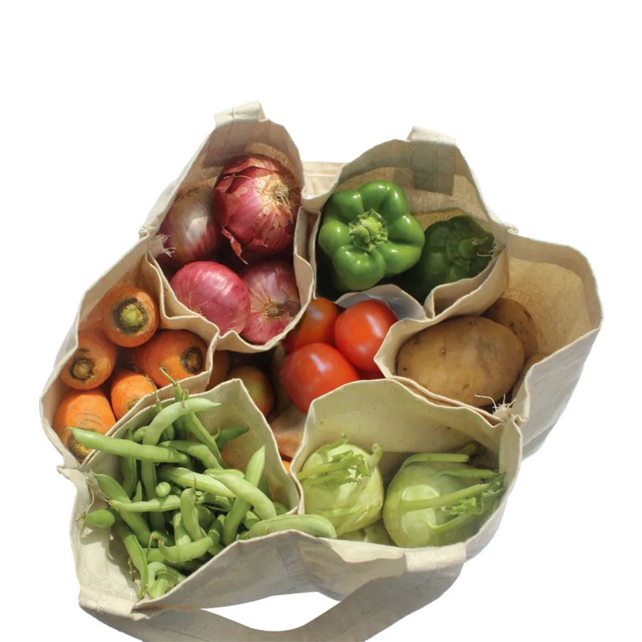 Cotton vegetable bag, mesh pockets (CTN-29)